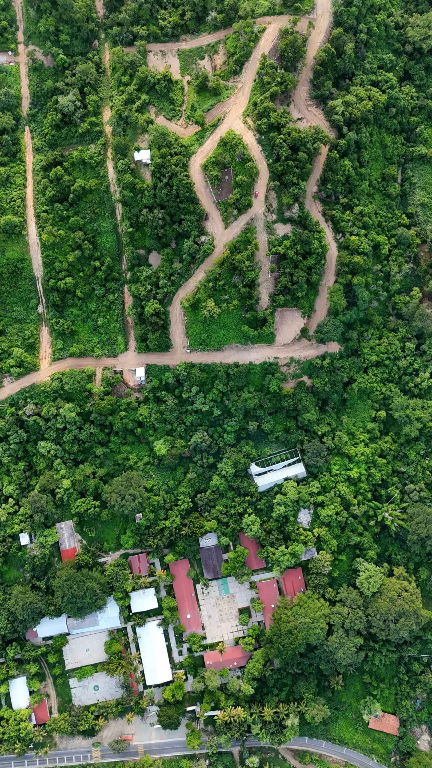 Colorado, San Pedro Pochutla Oaxaca.