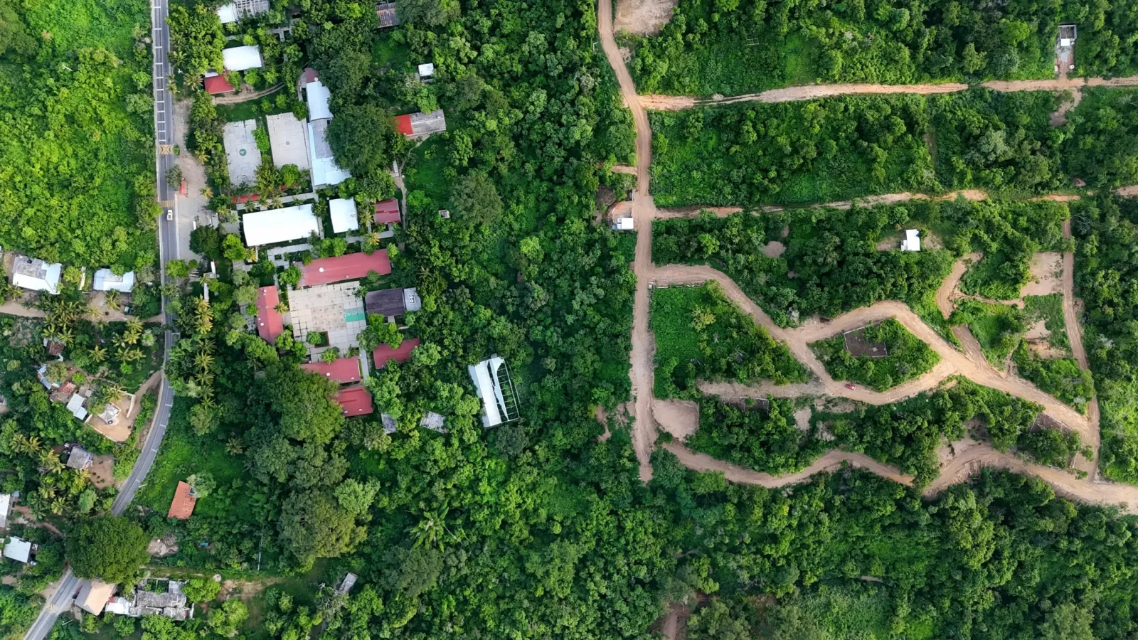 Colorado, San Pedro Pochutla Oaxaca.