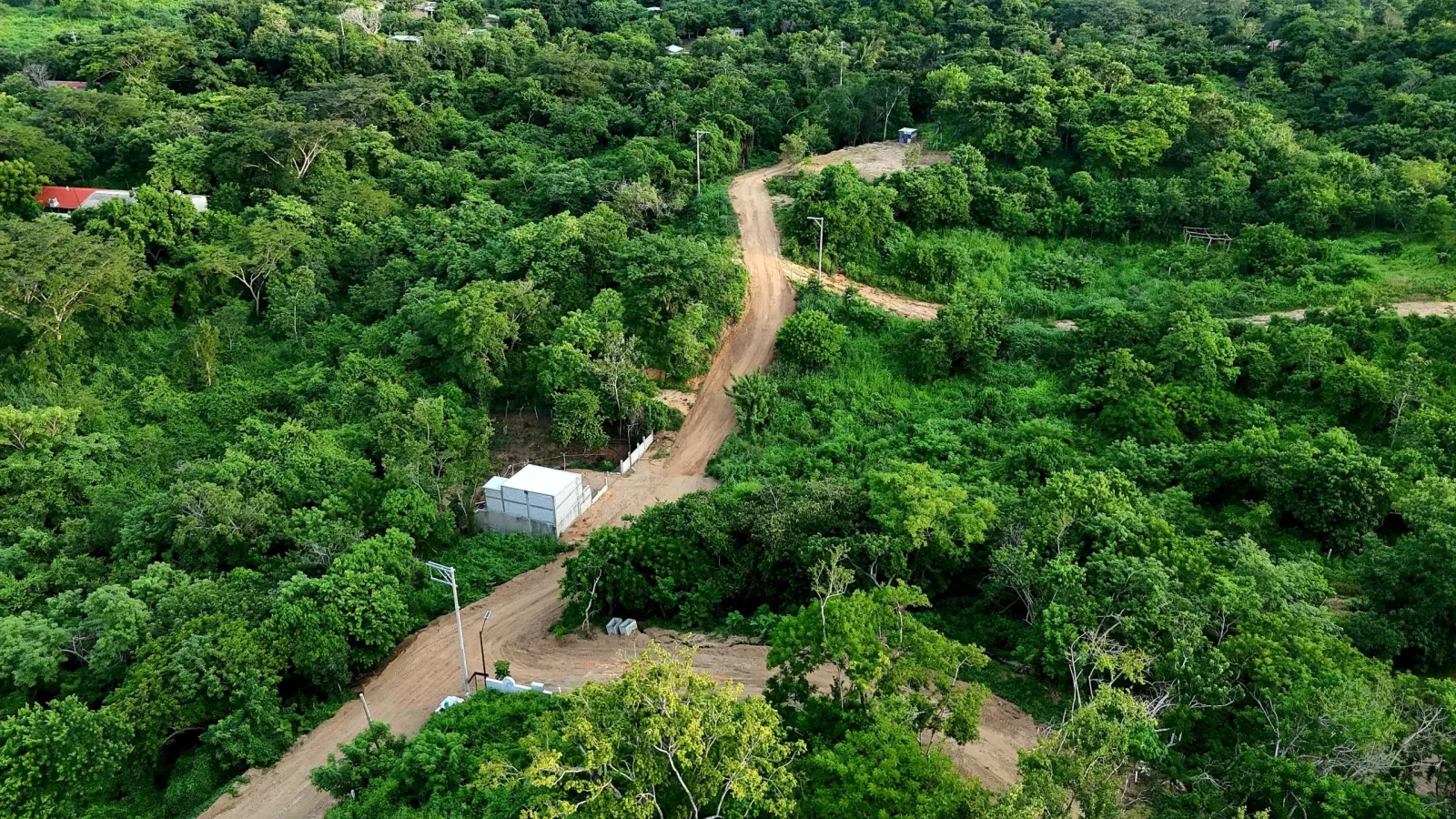 Colorado, San Pedro Pochutla Oaxaca.