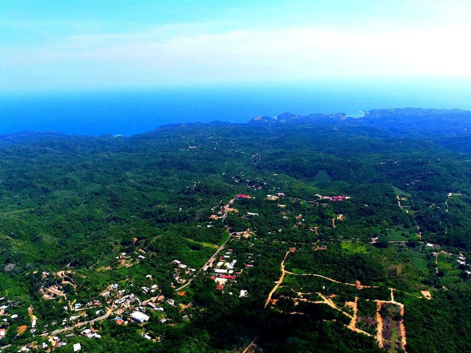 Colorado, San Pedro Pochutla Oaxaca.