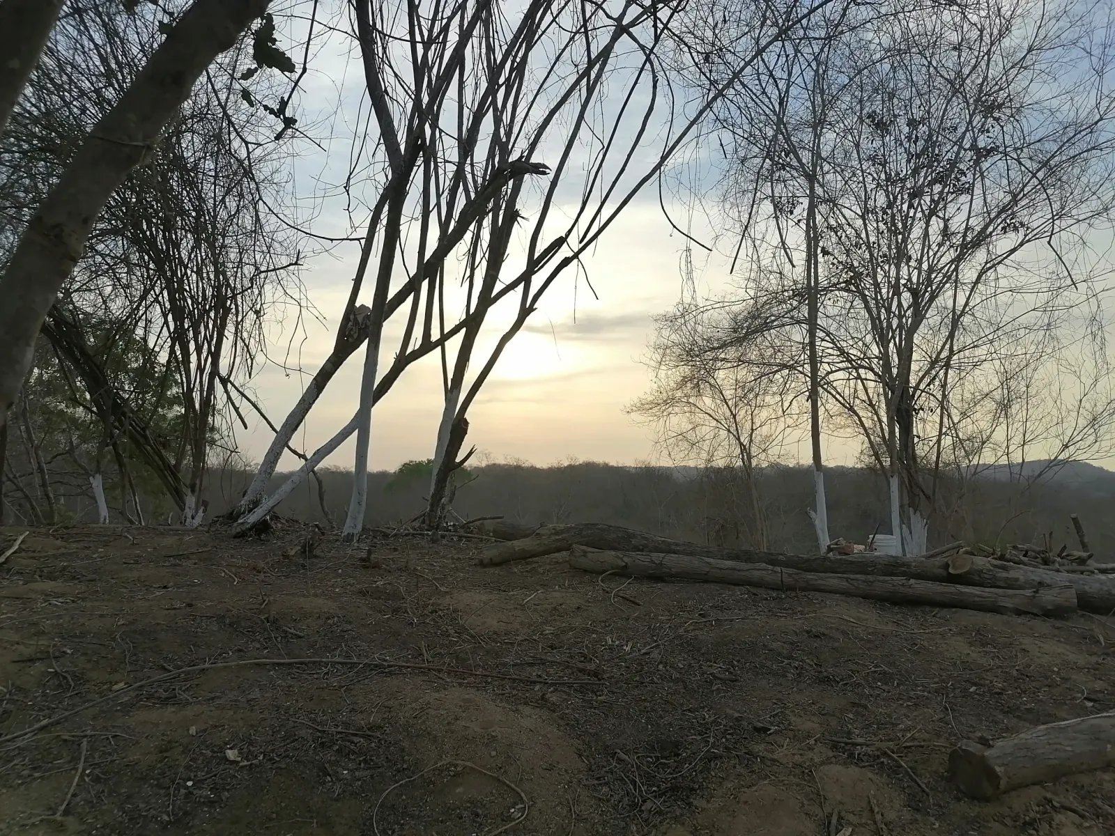 Fraccionamiento Las Brisas