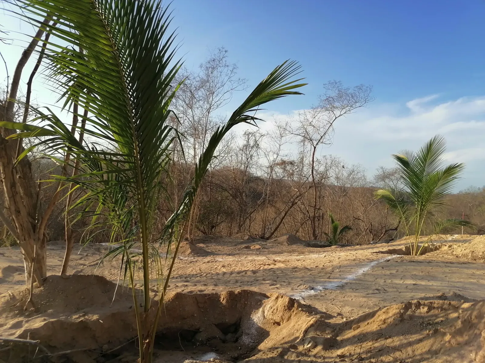 Fraccionamiento Las Brisas