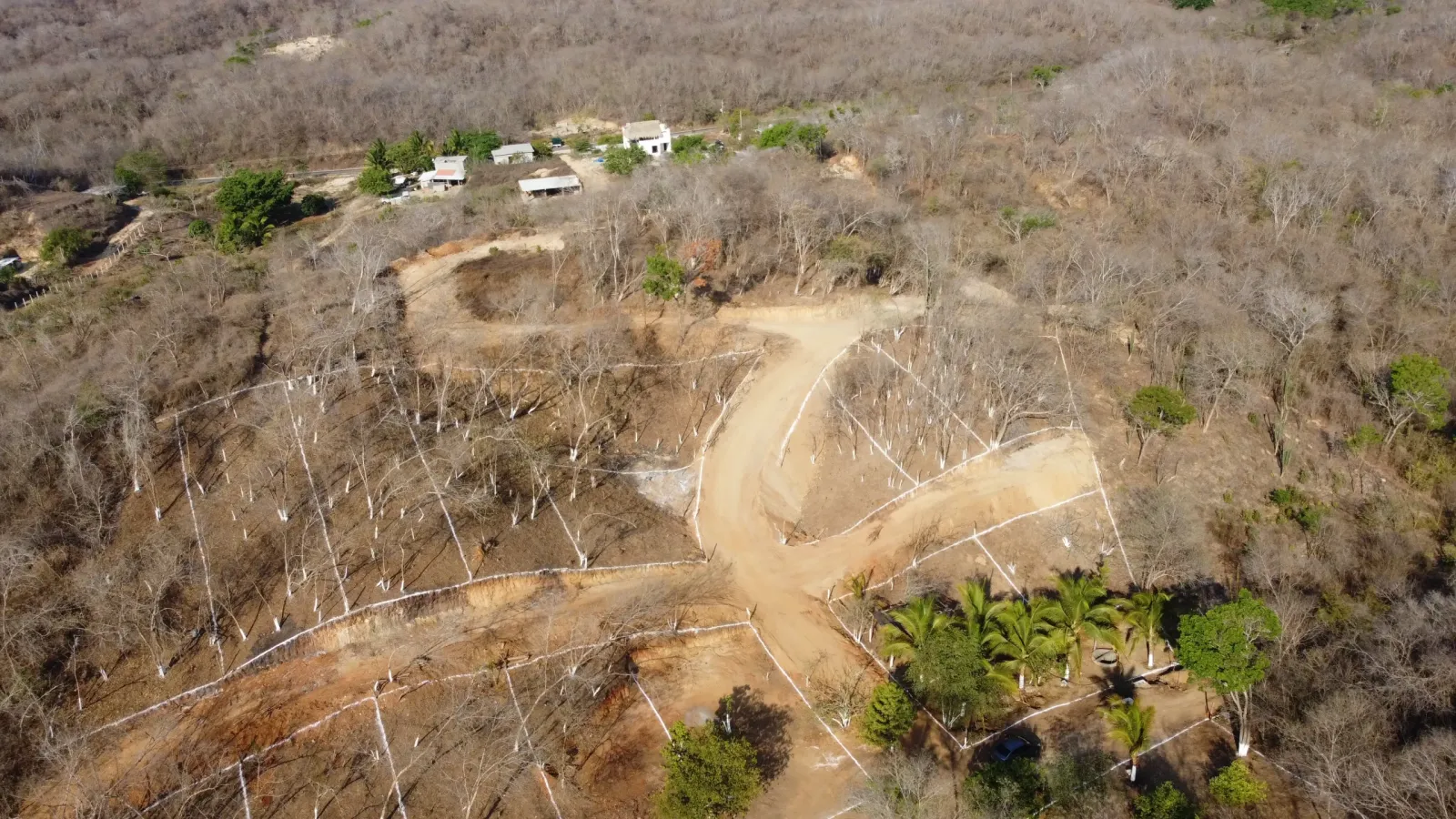 Fraccionamiento Las Palmas