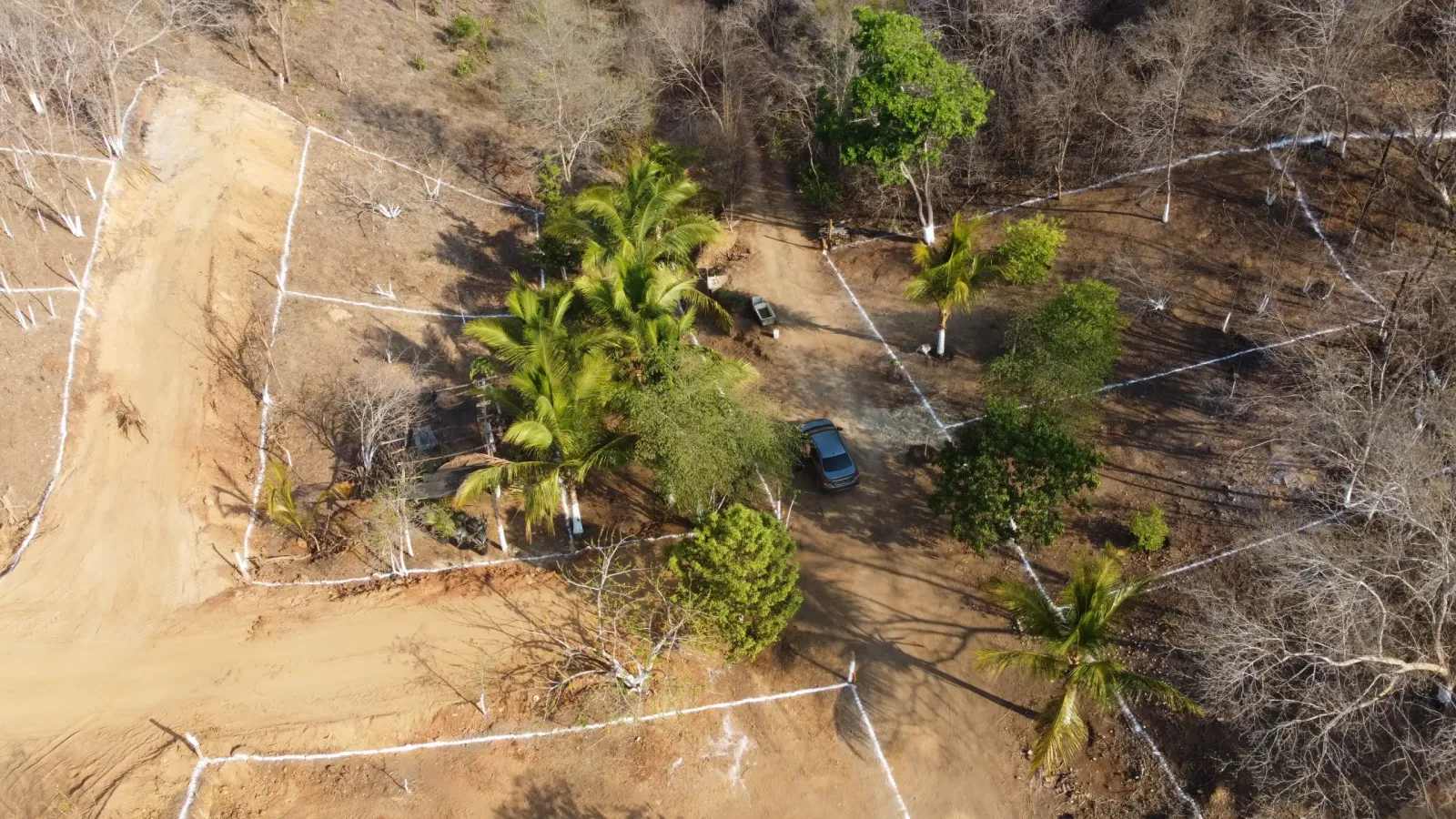 Fraccionamiento Las Palmas