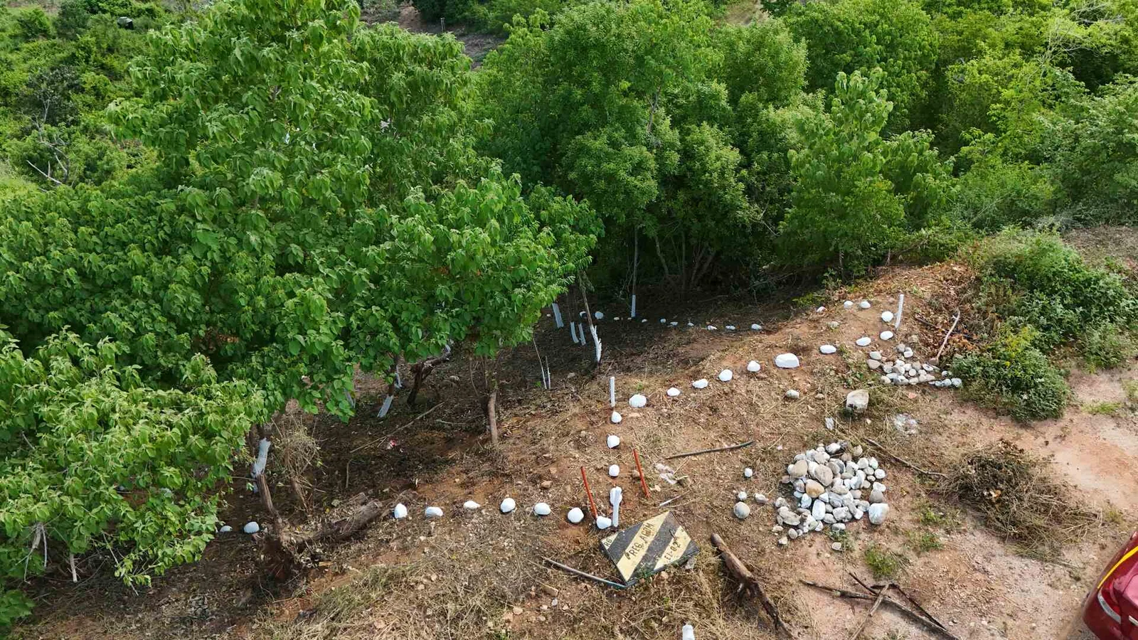 Fraccionamiento Miramar