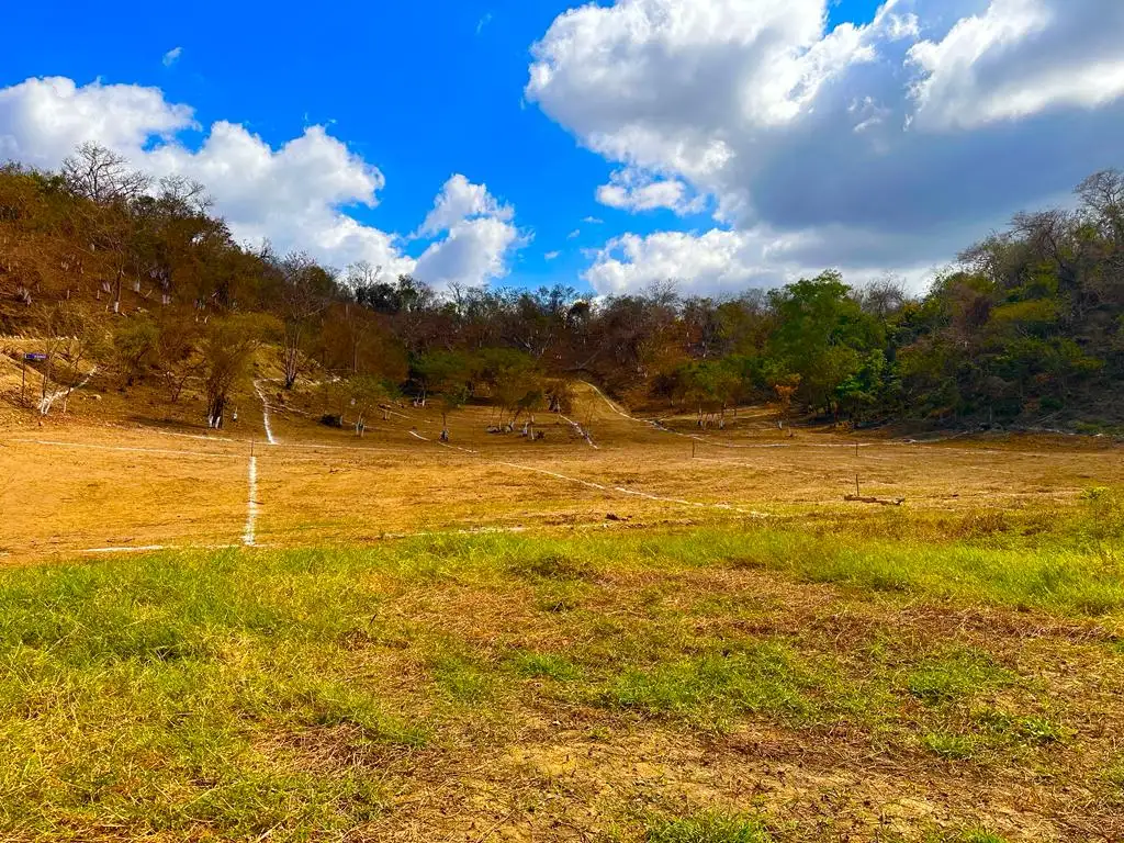 Fraccionamiento Punta Paraíso