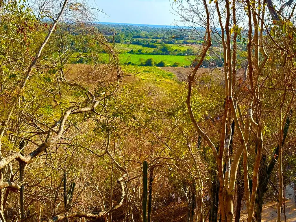 Fraccionamiento Punta Paraíso