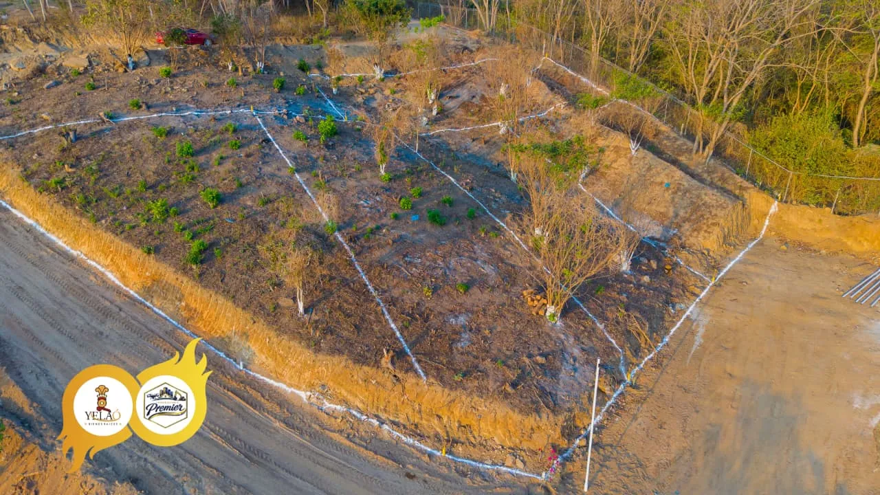 San Pedro Pochutla Oaxaca.